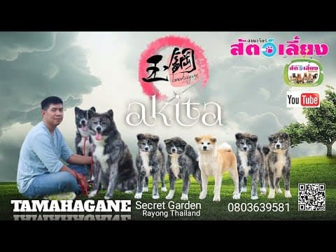 อาณาจักรสัตว์เลี้ยง