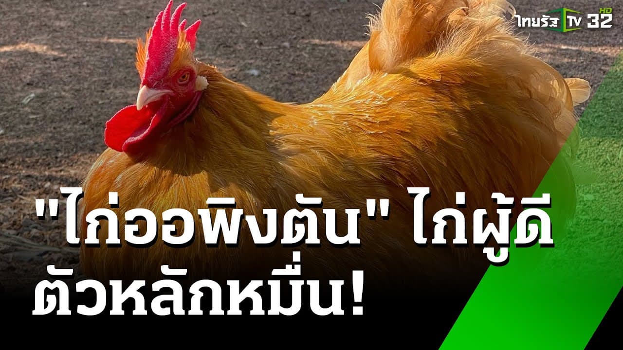 ของดีเกษตรบ้านเรา